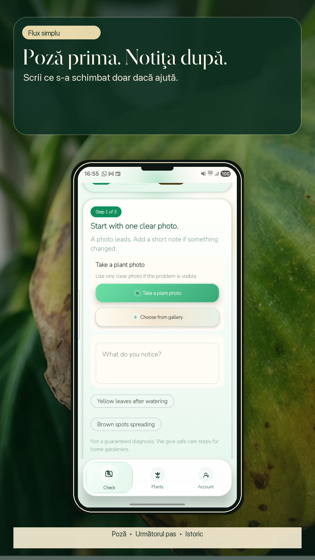 Ecran de diagnosticare GospodApp