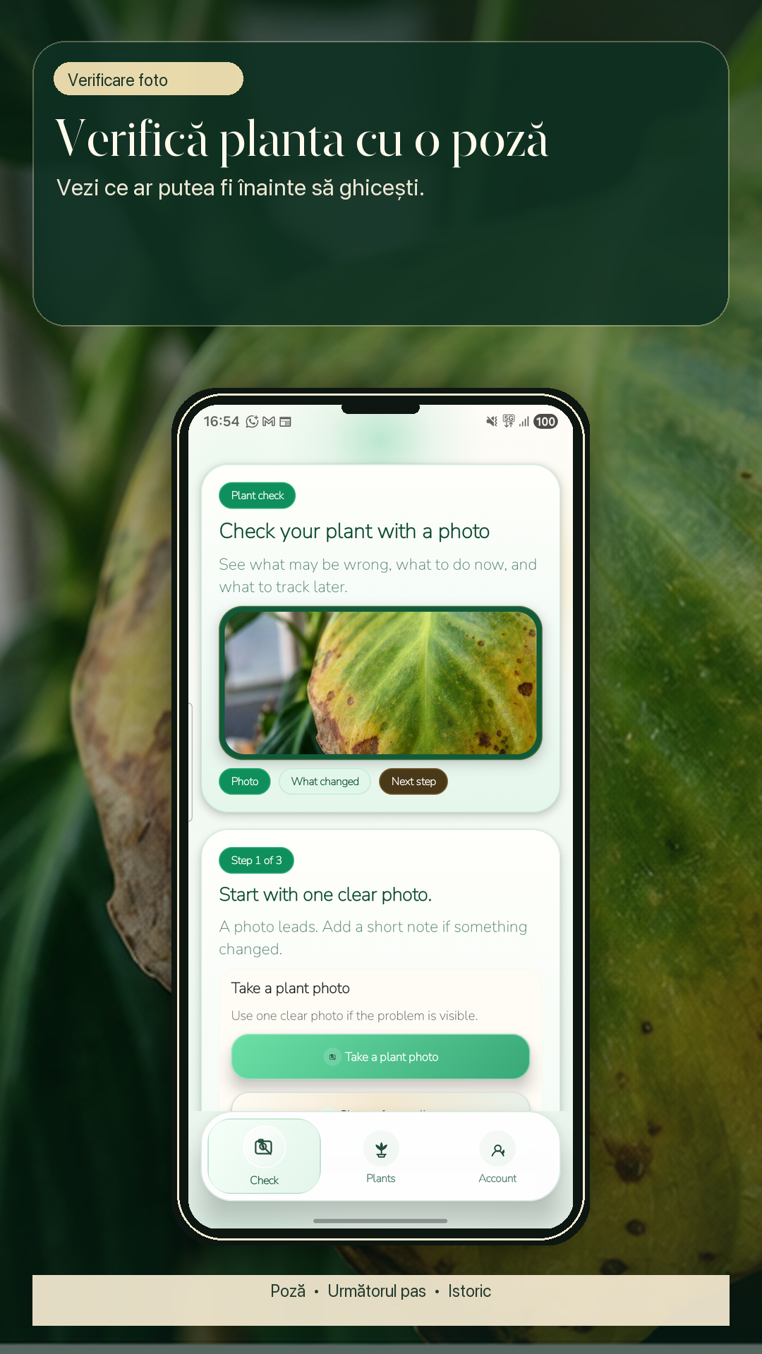 Ecranul GospodApp astăzi care arată un plan de recuperare a plantelor.